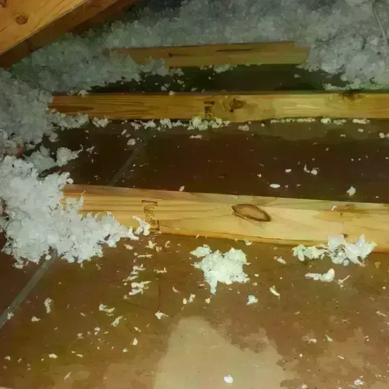 Attic Water Damage in Fleetwood, PA